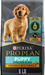 Photo of Purina-Purina Pro Plan Complete Essentials Puppy Shredded Blend Dog Food-6 lb-Chicken & Rice Formula-from Pet Wish Pros