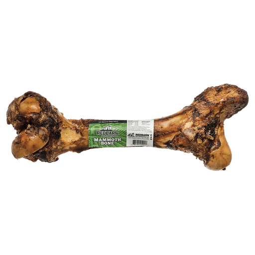 Photo of Redbarn Pet Products-Redbarn Beef Mammoth Bone Chewy Dog Treat-Pack of 1-from Pet Wish Pros