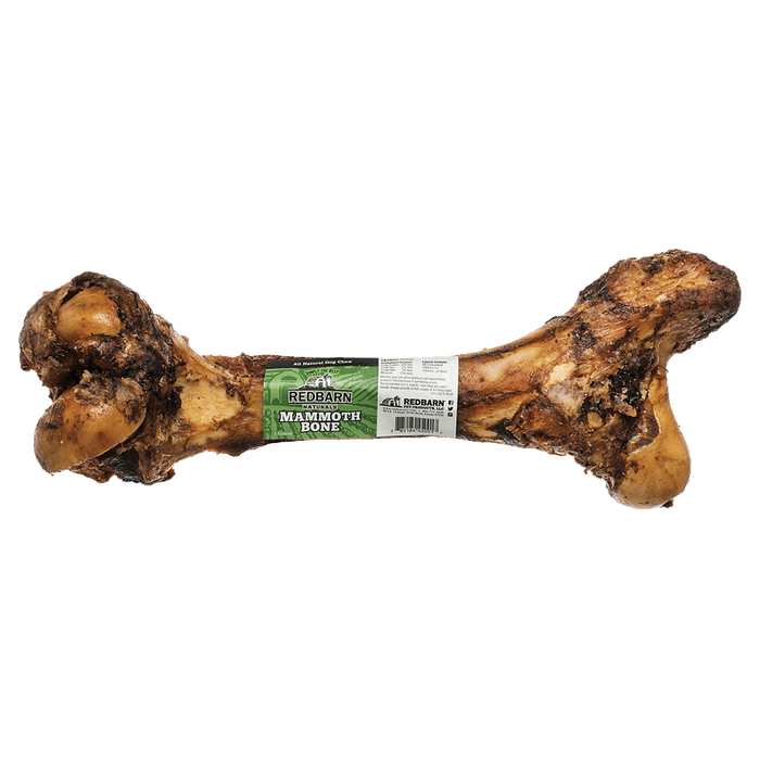 Photo of Redbarn Pet Products-Redbarn Beef Mammoth Bone Chewy Dog Treat-Pack of 1-from Pet Wish Pros