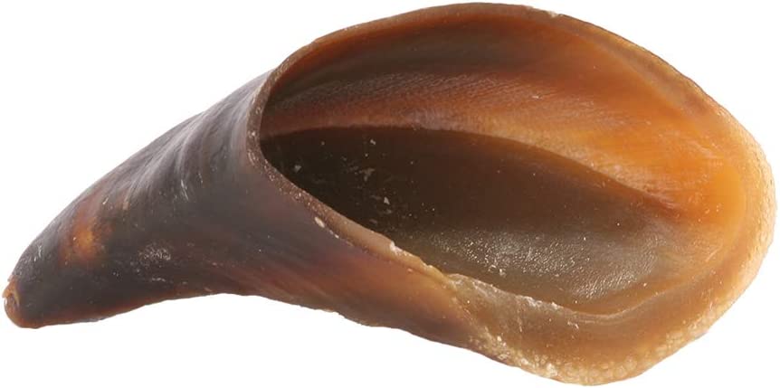 Photo of Redbarn-Redbarn Cow Hooves-4 in-Beef-75 pack-from Pet Wish Pros