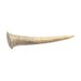 Photo of Redbarn-Redbarn Grain-Free Half Deer Antler Dog Chew-Small/Medium-from Pet Wish Pros