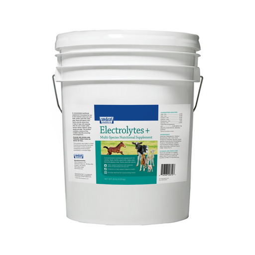 Photo of Sav-A-Caf-Sav-A-Caf Electrolytes Plus Supplement-25 lb-from Pet Wish Pros