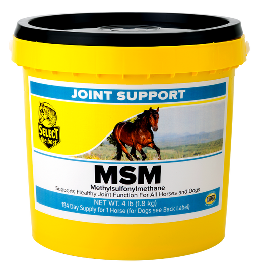 Photo of Select The Best-Select the Best MSM Joint Support Powder-4 lb-from Pet Wish Pros