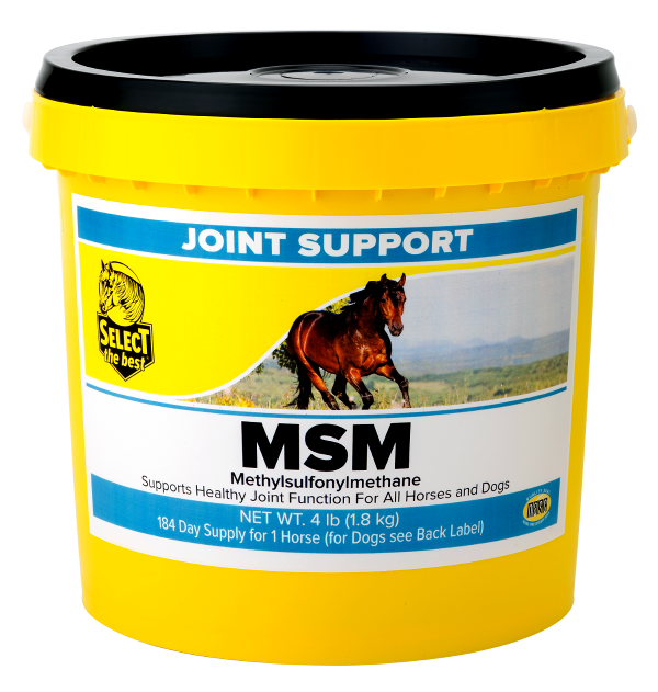 Photo of Select The Best-Select the Best MSM Joint Support Powder-4 lb-from Pet Wish Pros