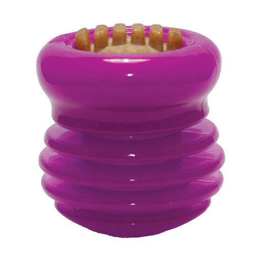Photo of Starmark-Starmark Groovy Ball Everlasting Treat with Dental Ridges-from Pet Wish Pros