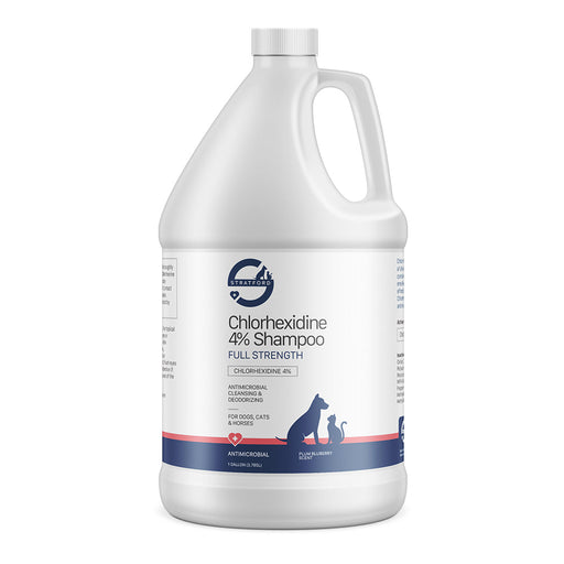 Photo of Stratford-Stratford Chlorhexidine 4% Shampoo-Plum/Blueberry-1 Gallon-from Pet Wish Pros