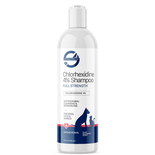 Photo of Stratford-Stratford Chlorhexidine 4% Shampoo-Plum/Blueberry-12 oz-from Pet Wish Pros