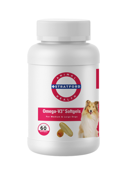 Photo of Stratford-Stratford Omega-V3 EFA Softgels for Dogs-Medium & Large-60 count-from Pet Wish Pros