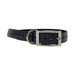 Photo of The Buzzard's Roost-The Buzzard's Roost Replacement Collar Strap-1 in-Black-from Pet Wish Pros