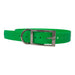 Photo of The Buzzard's Roost-The Buzzard's Roost Replacement Collar Strap-1 in-Neon Green-from Pet Wish Pros