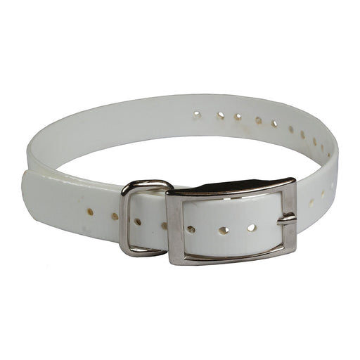 Photo of The Buzzard's Roost-The Buzzard's Roost Replacement Collar Strap-1 in-White-from Pet Wish Pros