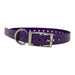 Photo of The Buzzard's Roost-The Buzzard's Roost Replacement Collar Strap-3/4 in-Purple-from Pet Wish Pros