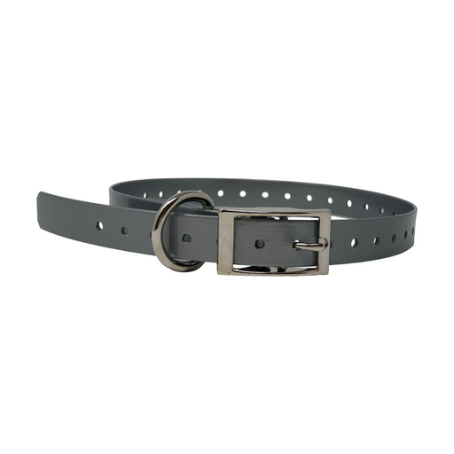 Photo of The Buzzard's Roost-The Buzzard's Roost Replacement Collar Strap-3/4 in-Silver-from Pet Wish Pros