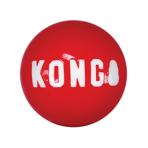 Photo of The Kong Company-Kong Signature Balls-Large-3 count-from Pet Wish Pros