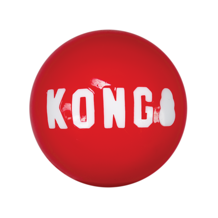 Photo of The Kong Company-Kong Signature Balls-Large-3 count-from Pet Wish Pros