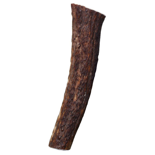 Photo of The Kong Company-Kong Wild Antler Treat-Whole-from Pet Wish Pros