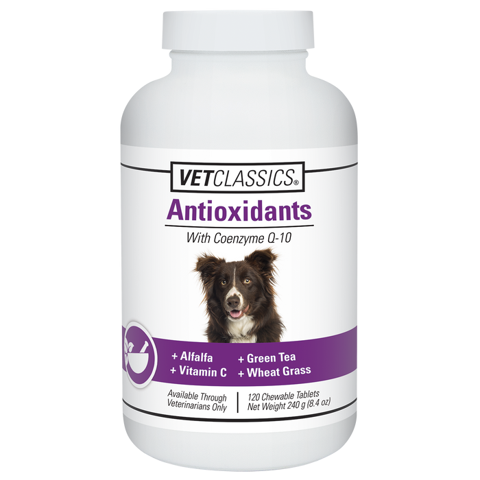 Photo of VetClassics-VetClassics Antioxidants with Coenzyme Q-10 Chewable Tablets for Dogs-120 count-from Pet Wish Pros