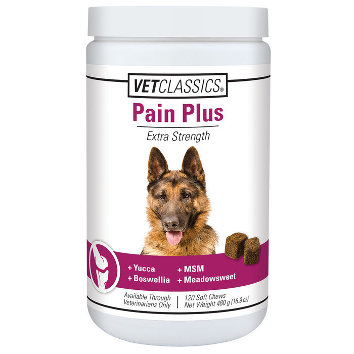 Photo of VetClassics-VetClassics Pain Plus Soft Chews for Dogs-120 count-from Pet Wish Pros