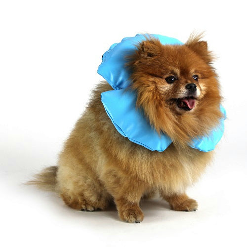 Photo of VetOne-Eliz Air-Tight Inflatable Collar-from Pet Wish Pros