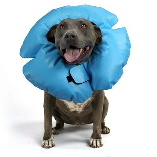Photo of VetOne-Eliz Air-Tight Inflatable Collar-from Pet Wish Pros