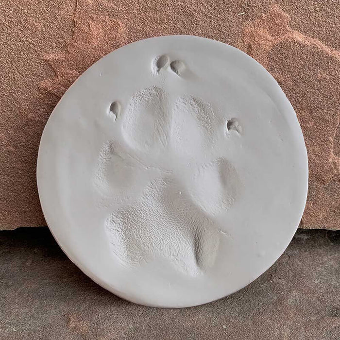 Photo of World By The Tail-Claypaws Paw Print Kit-White Clay-from Pet Wish Pros